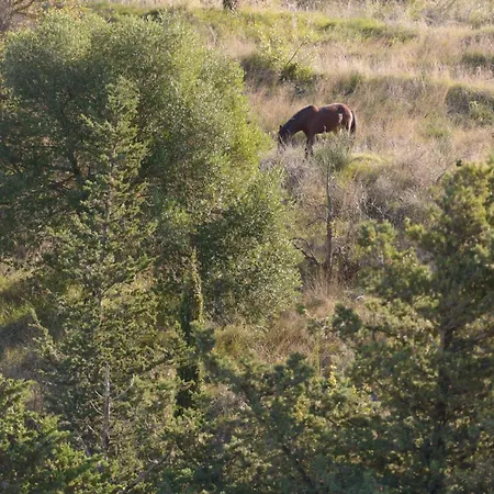 Myrtos Kefalonia Divarata